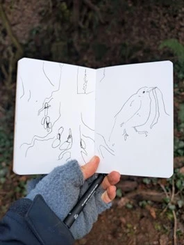 Sketch book open depicting the roots of a tree