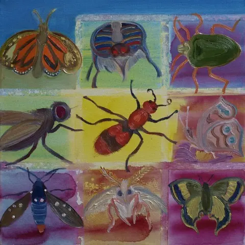 A colourful painting showing various insects including beetles, flies, moths and butterflies.